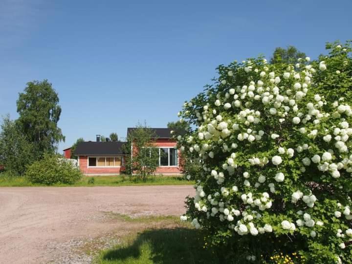 B&B Villa Helmi Ala-Temmes Екстер'єр фото